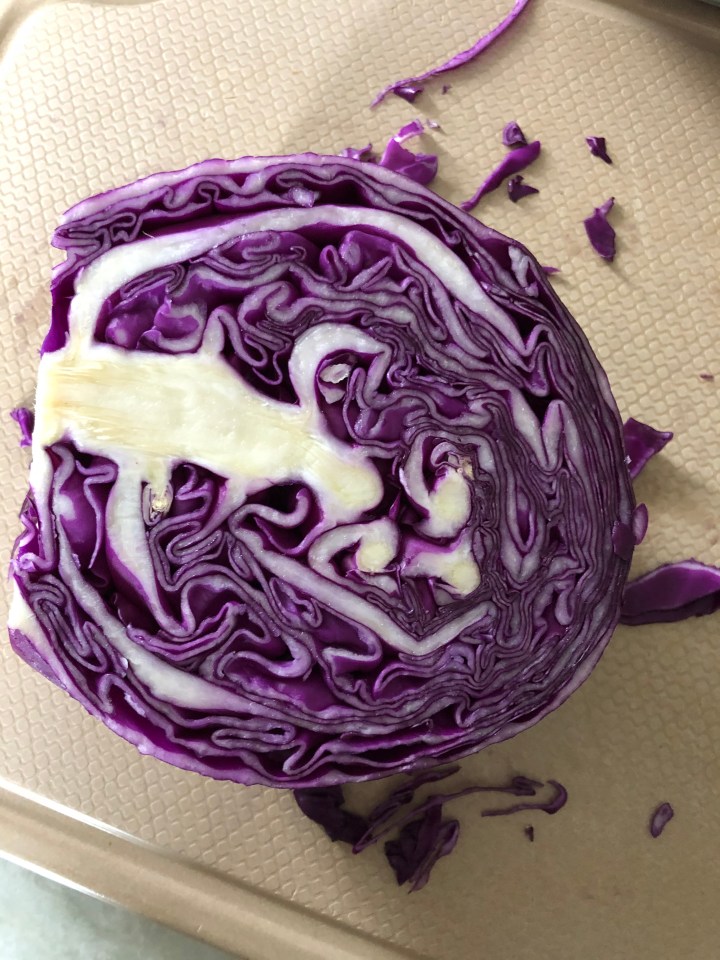 Homemade Sauerkraut