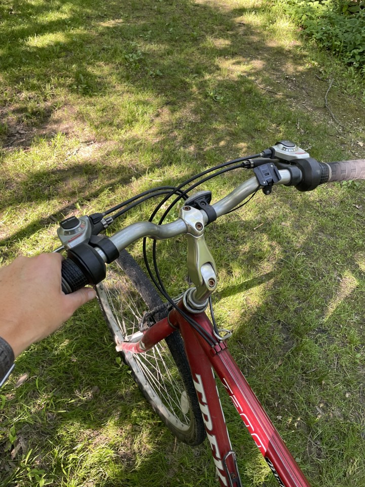 the domesticated wanderlust